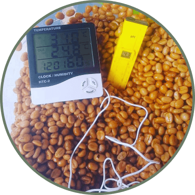 ANAEROBIC FERMENTATION